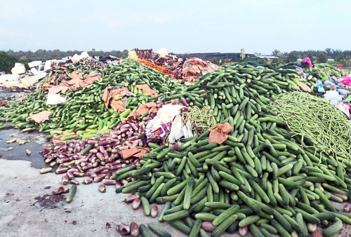 dump vegetable. pic courtesy Lee Tinchoy's facebook