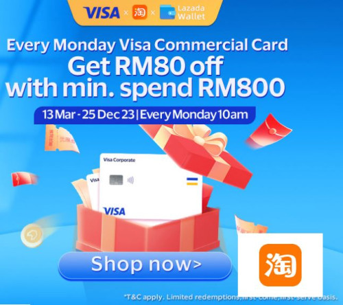 VISA Commercial Card