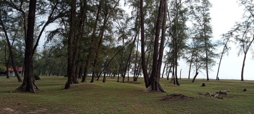 IMG 20230626 204852
