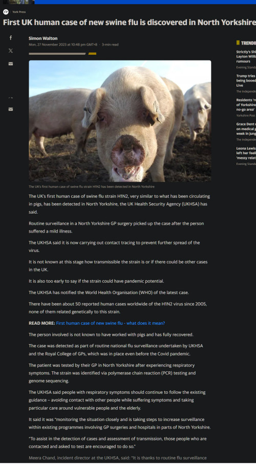 swineflu