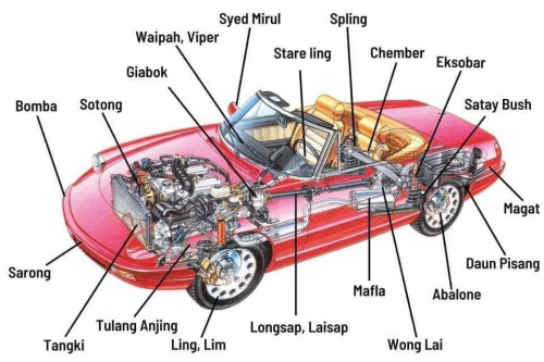 Bonnet 😁