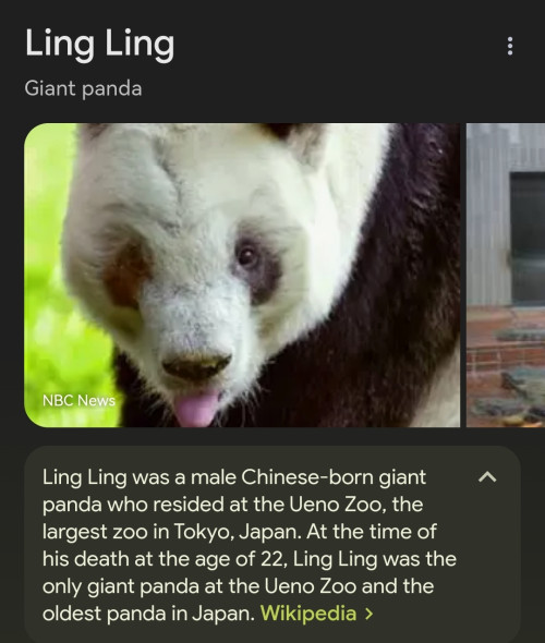 Screenshot 20240304 185434