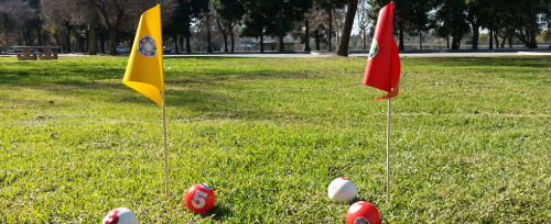 Wiser Sport flags.