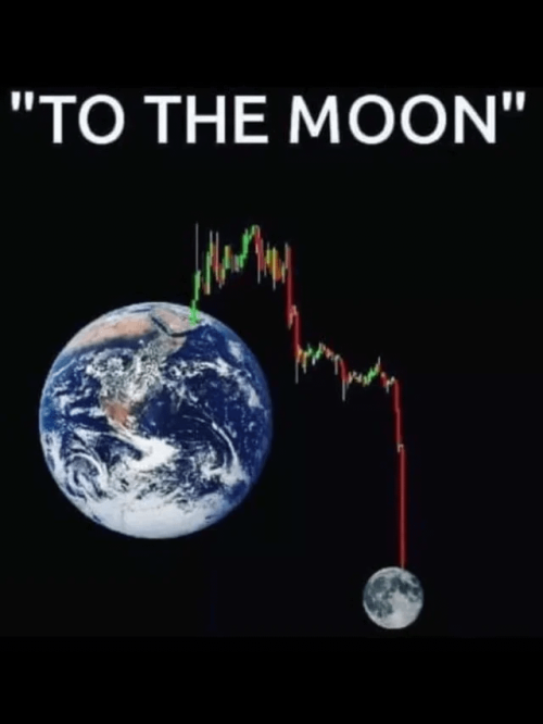 1000008446
