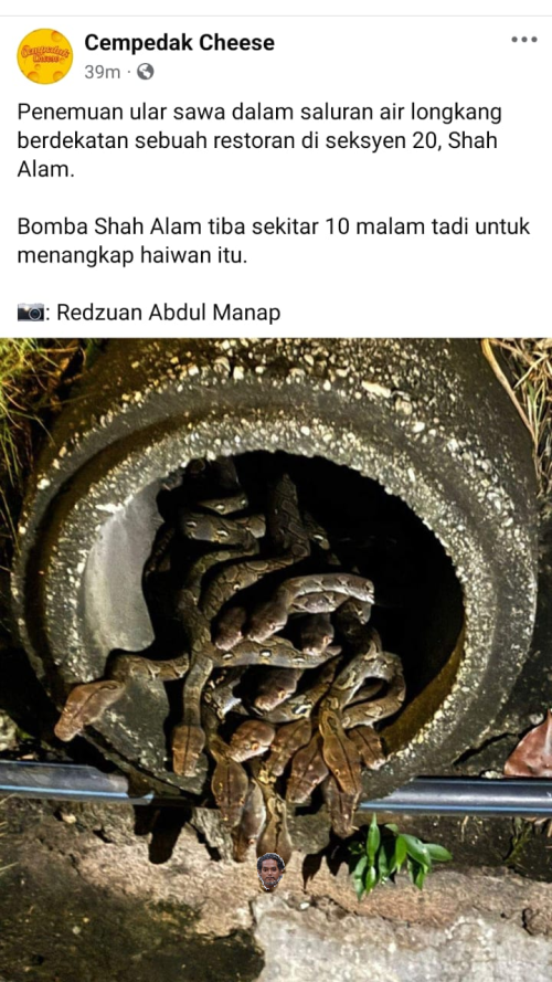 xZmJzG.png