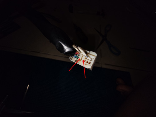 IMG 20241107 202902