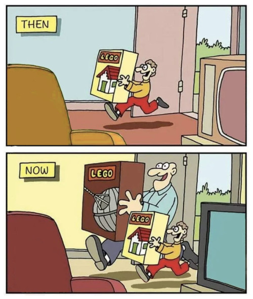 lego adult