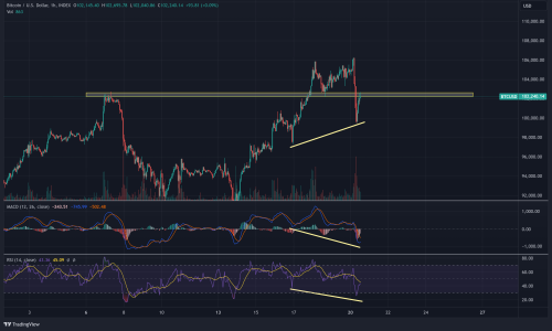 BTCUSD 2025 01 20 13 58 29