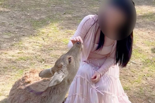upskirt videos of women tourists playing around with nara v0 2haH0jmZ 2Us0C6gKvJKlPG 4V YKZpzJmpYs2V
