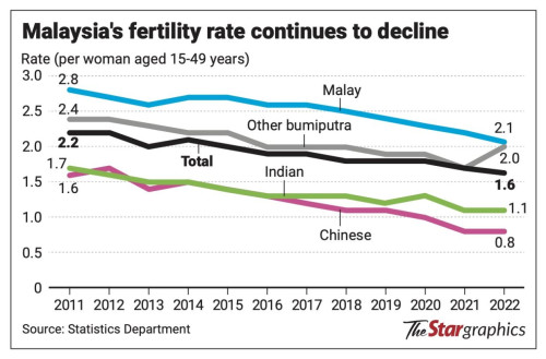 malaysiia birth