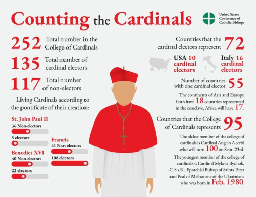 The College of Cardinals has 252 members, but only 135 of them -- those who were under 80 when Pope 