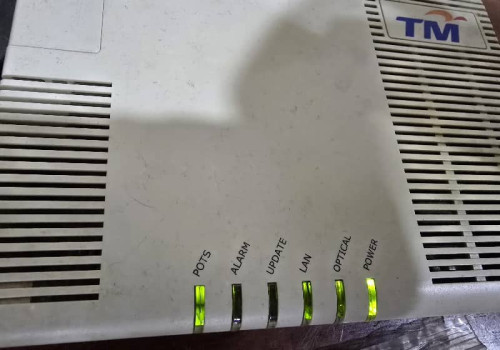 1000076282