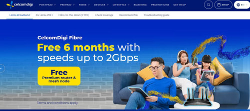 free 6 month