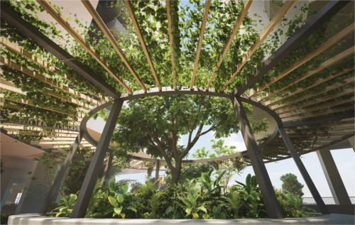 The Ring Garden 1
