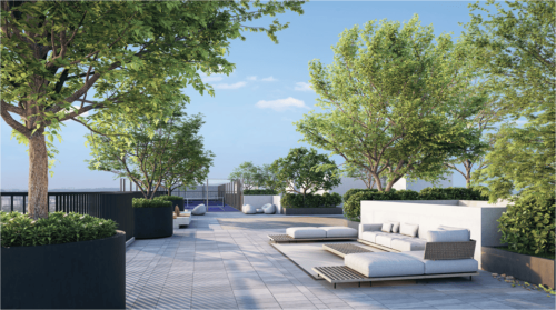 Rooftop Retreat Zone
