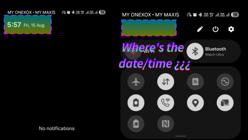 1000135381