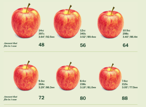 Possible to buy Apples that weight >700 grams?