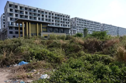 user posted image user posted image