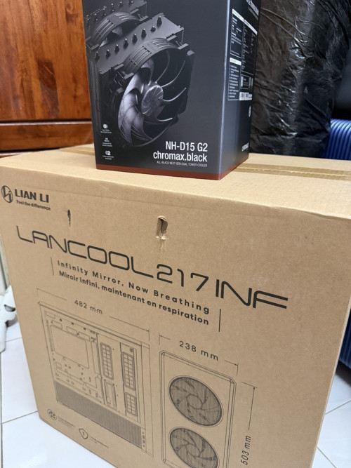 Noctua