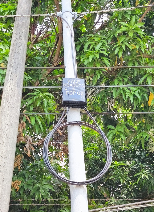 1000239591