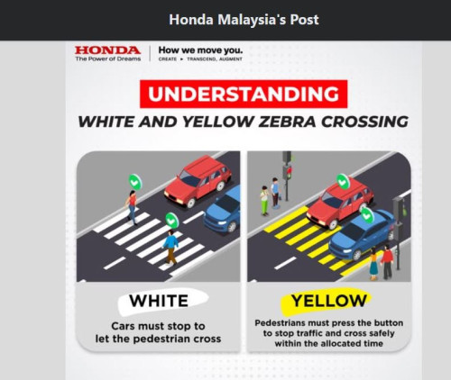 Zebra Crossing