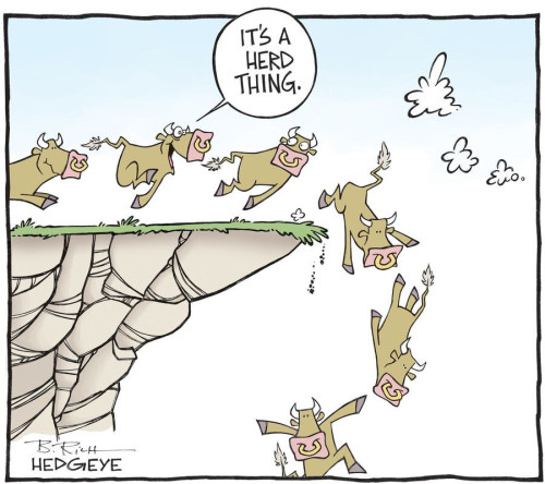Bull herd cartoon 03.18.2016