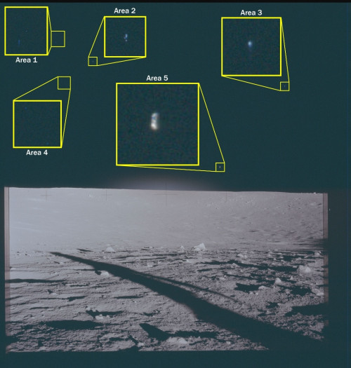 1000120282