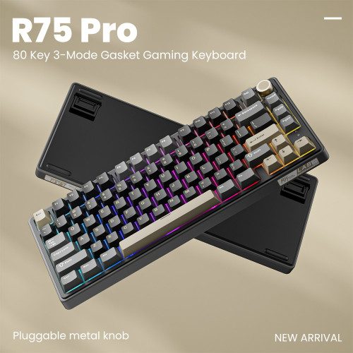R75 Pro 魅影 详情 (1)