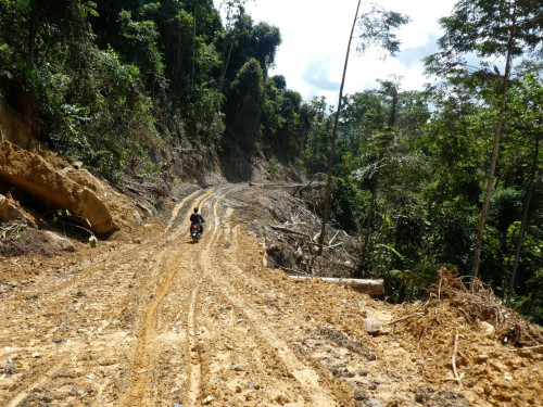 Pic1 Fresh logging road Long Pakan 2 2235819698