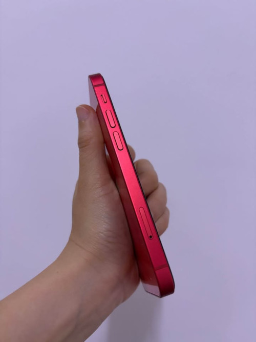iP12 2