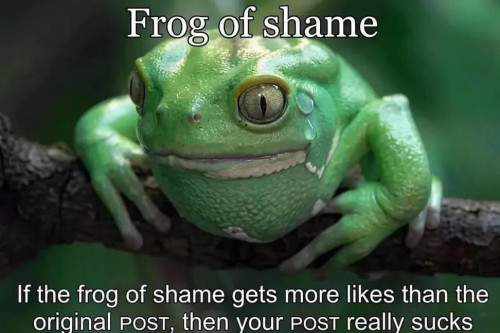 frog