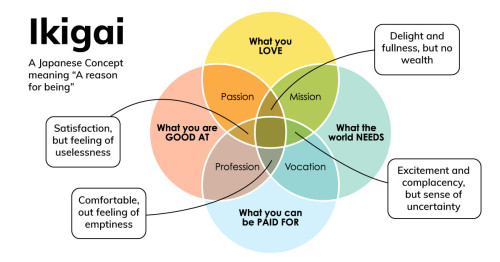 blog ikigai