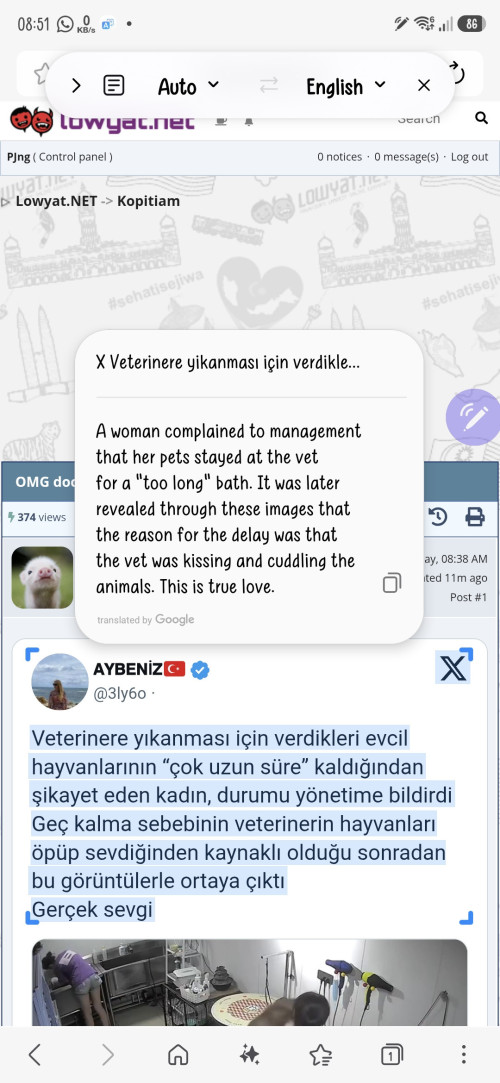 Screenshot 20260612 085142 Samsung Browser