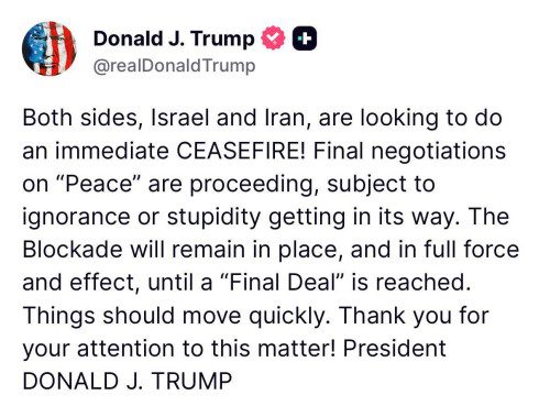 Trump Triggering Algos