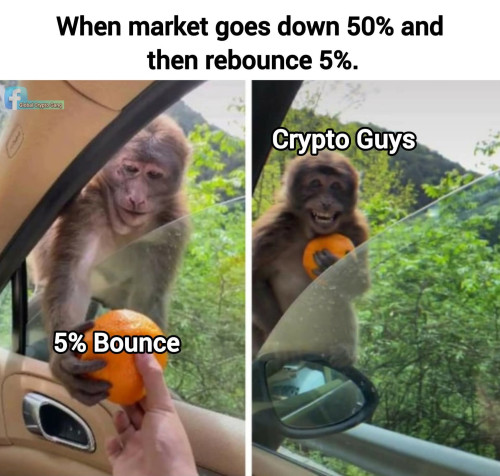 1000497463