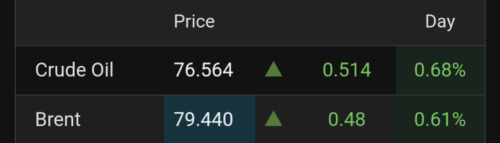 1000026535