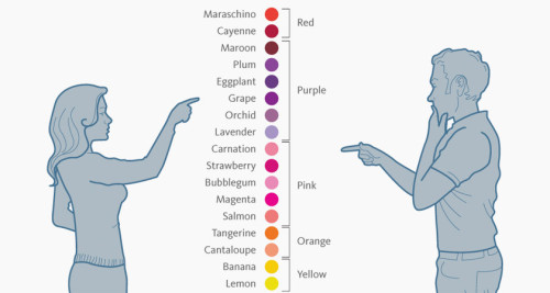 male vs female color perceptions preferences feature image