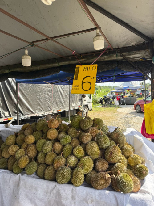 Kampung RM6 kg