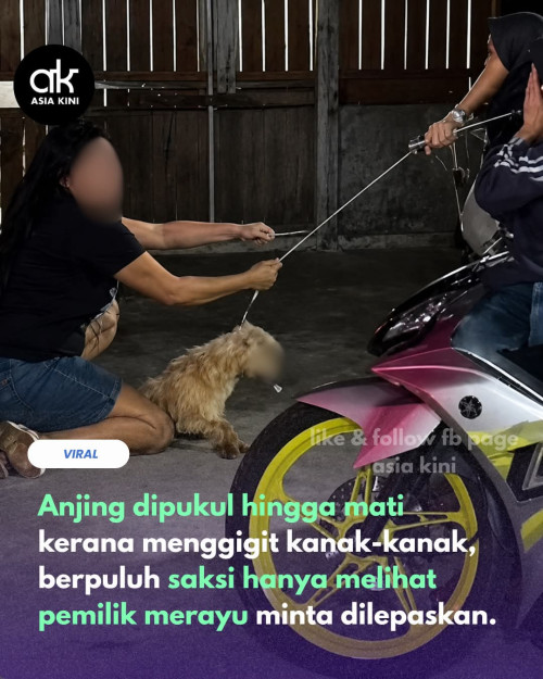 FB IMG 1785488620770