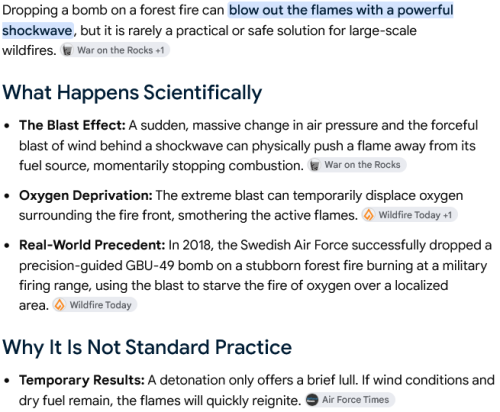 Screenshot 2026 09 04 at 23 54 27 if i bomb a forest fire what would happen Google Search