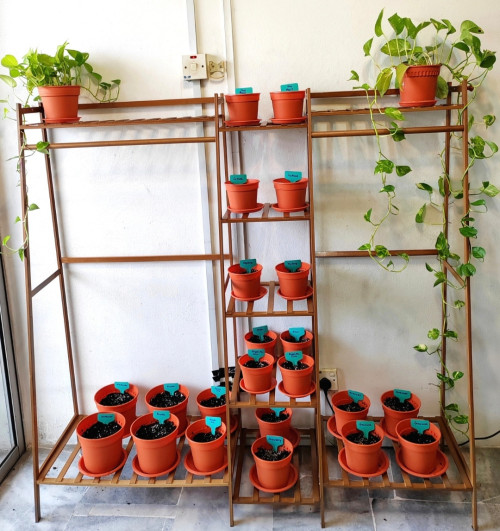 PlantsRack1 Ralna