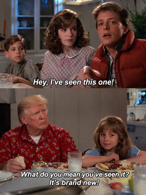 trump meme
