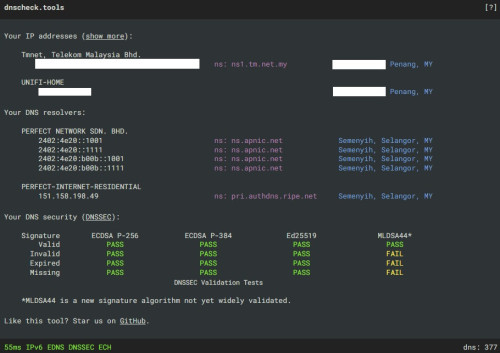 Elpis DNS MY Endpoint Check copy