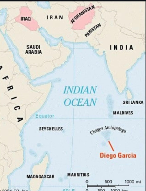 1000105631