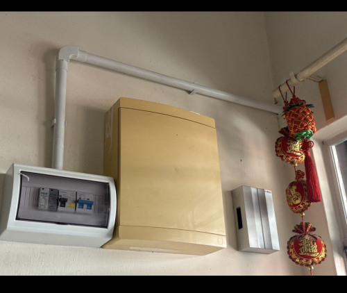 IMG 2547