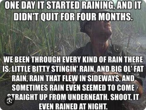 Screenshot 2026 10 07 at 21 44 33 forrest gump rain Google Search
