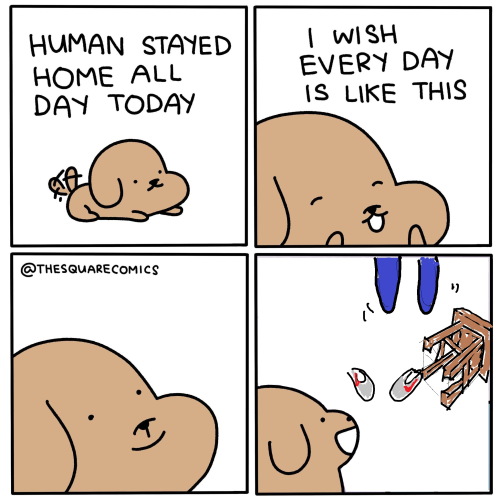x3wI3x.png