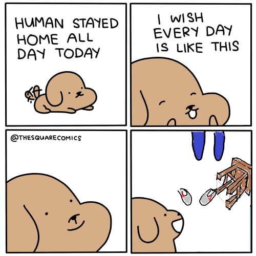 x3wMvu.png