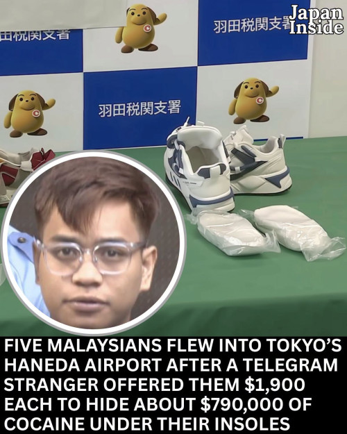 844341636 2342440246523712 2899362707160149642 n